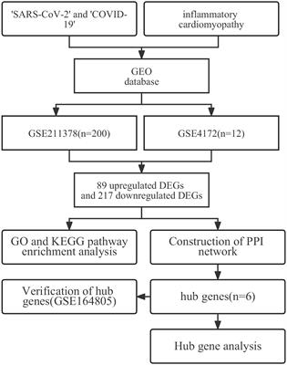 Exploring potential biomarkers and therapeutic targets of long COVID-associated inflammatory cardiomyopathy